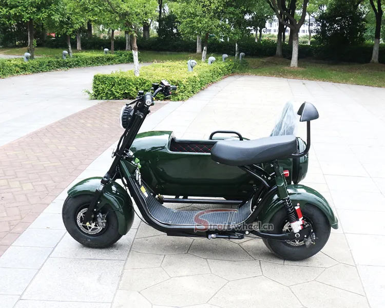 Yeni CityCoco EEC elektrikli moped/scooter/citycoco