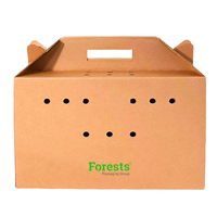 Boîte de transport pour animaux de compagnie, chien, chat, petite taille, durable, en carton ondulé, avec doublure en éponge, recyclable