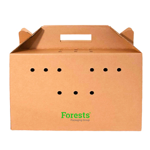Boîtes de transport <span class=keywords><strong>pour</strong></span> animaux de compagnie, petit transporteur <span class=keywords><strong>pour</strong></span> animaux de compagnie, boîte en <span class=keywords><strong>carton</strong></span> <span class=keywords><strong>pour</strong></span> <span class=keywords><strong>chat</strong></span>, boîte de transport <span class=keywords><strong>pour</strong></span> chien, boîte de transport <span class=keywords><strong>pour</strong></span> animaux de compagnie - Product Image 2