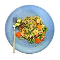 Spaghetti à faible Gi Nouilles shirataki instantanées biologiques en gros pour la nourriture Keto Pâtes konjac faibles en calories Arroz