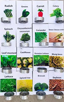 Semoir manuel haute précision pour légumes, moteur essence/diesel, planteur d'oignons, tomates, choux, petite semoir pour graines, équipement agricole