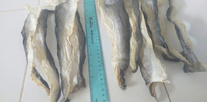 Peau de poisson séchée Surimi Fin & Fillet du Delta du Vietnam - Pot Mason 0,5 kg Durée de conservation de 24 mois - Product Image 3