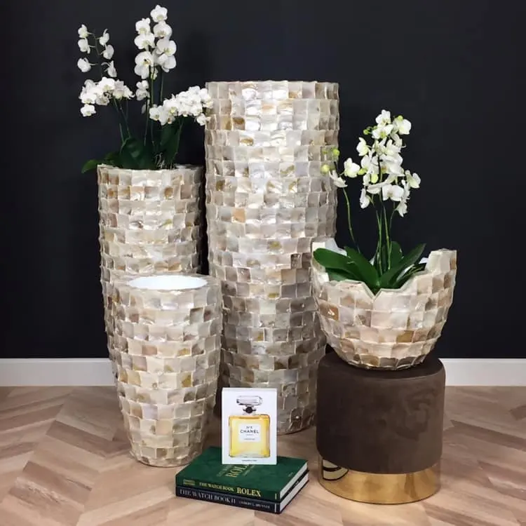Jarrones de concha Natural para decoración de flores, maceta, venta directa de fábrica