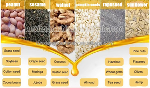 Brand New Automatic Cold <b>Press</b> <b>Oil</b> <b>Machine</b> for Sesame Soybean Walnut <b>Oils</b> High Capacity Made in China - Product Image 4