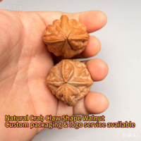 Noix de Grenoble en os massif, forme ovale naturelle, haute densité, anti-stress, objet de collection pour le jeu manuel
