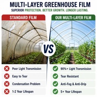 Film de serre PO 150 microns anti-buée, anti-goutte, résistant aux UV, couverture plastique agricole pour la culture de légumes
