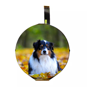 Tùy chỉnh <span class=keywords><strong>5</strong></span> <span class=keywords><strong>inch</strong></span> Vòng 1080*1080 mipi IPS Đồng hồ tốc độ <span class=keywords><strong>LCD</strong></span> Màn hình hiển thị màn hình cho xe máy - Product Image 6