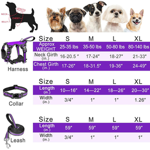 Conjunto de Arnés y Correa Reflectantes para Perros Pequeños y Grandes, para Entrenamiento al Aire Libre, Caminatas, Arnés Transpirable y Acolchado para el Pecho - Product Image 4