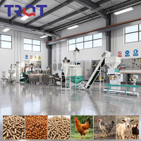 Machine automatique de fabrication d'aliments pour chiens, extrudeuse de nourriture pour animaux de compagnie, ligne de production, extrudeuse d'aliments pour poissons