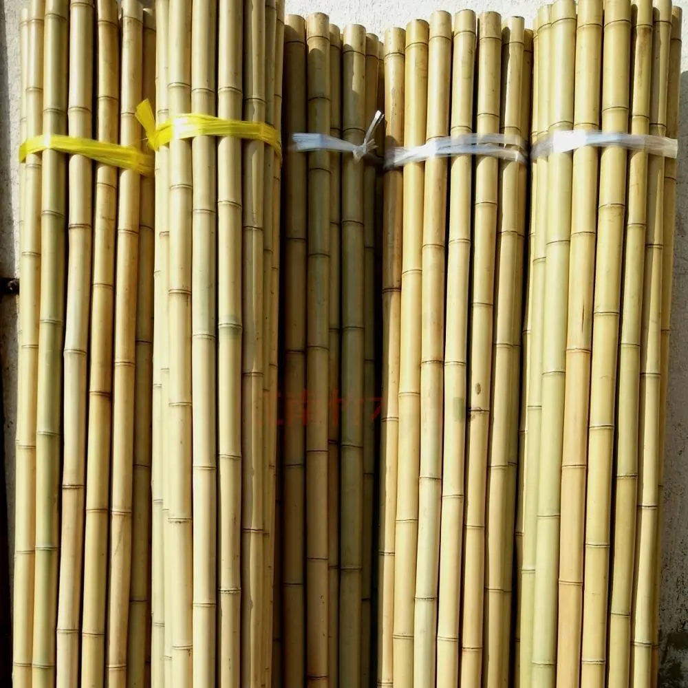 20 ~ 30mm bambu direkleri bambu köpekler dikim dekorasyon elma domates dikim araçları sticks