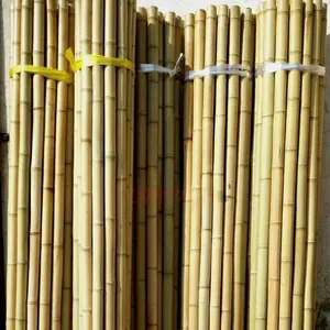 Alat tanam tomat apel dekorasi tanaman tongkat bambu 20 ~ 30mm