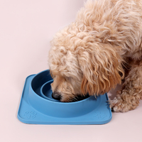 Bol à nourriture pour chien anti-étouffement écologique Bol à nourriture lentement alimenté en silicone avec ventouse