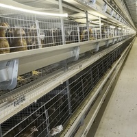 Nouveau poulailler automatique multi-niveaux de type H en acier galvanisé à chaud, cages multifonctionnelles, installation facile, mangeoire/abreuvoir facile à nettoyer