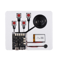 Module audio BT avec 128 Mo de stockage, téléchargement depuis un ordinateur, enregistrement depuis un smartphone, téléchargement de musique USB, puce DIY pour cadeau