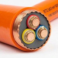 Kabel Daya RTTZ 3 Inti Tembaga Berisolasi Mineral Tahan Api 0.6/1kV untuk Proyek Industri