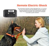 Traceur GPS sans fil pour animaux de compagnie, chiens de chasse, 4G LTE 2G GSM, étanche IP67, batterie 4000mAh, buzzer à distance