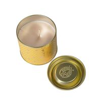 Pot en fer blanc de première classe rond anti-fuite vide pour la fabrication de bougies avec étiquettes personnalisées modèle 8oz TW 3309
