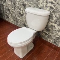 Ada Modern Mini Ensemble de toilettes en céramique allongée en forme de S Articles sanitaires de salle de bain standard avec structure en deux pièces Drainage en S