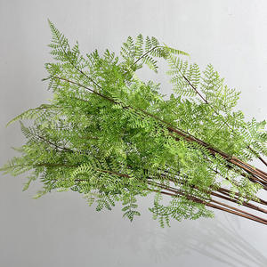 Plante artificielle en pot en plastique, Asparagus Fern Black Bone Fern, 76 cm, pour décoration intérieure/extérieure, Herbe Persane - Product Image 2
