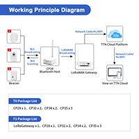 Kit de suivi de balise LoRaWAN BLE DX-CP34, traceur d'actifs IoT, portée longue distance 3KM, OTAA pour entrepôt, usine intelligente, usage industriel