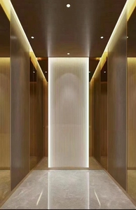 Lift Rumah untuk Vila, Apartemen - Bersertifikat CE, Desain Ringkas, Hemat Energi, Aman, Tenang, Instalasi Khusus - Product Image 2