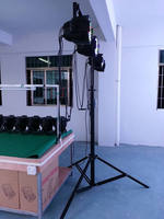 Soporte de Luz Profesional para Escenario con Manivela de 80 kg de Capacidad, Trípode Ajustable con Barra en T para DJ, Conciertos, Eventos y Espectáculos