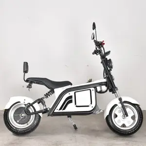 E Trike Tuk Tuk in vendita moto Fat Tire Bike Scooter con tetto motore Scooter Cargo