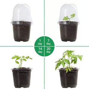 Pots de jardinage de style américain <span class=keywords><strong>en</strong></span> PE, coupelles à semis, boîtes de Pétri <span class=keywords><strong>pour</strong></span> pépinière, dômes d'humidité, pots de transplantation <span class=keywords><strong>en</strong></span> PET - Product Image 3
