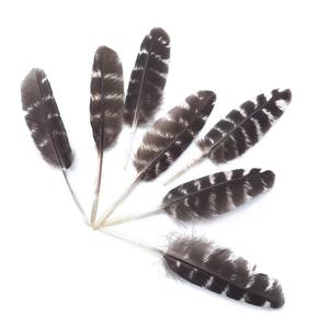 Plumes d'aile de dinde pour décoration (pas de taches, de coupures, de pièces manquantes) - Product Image 6