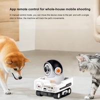 Caméra mobile Pet360 AI avec écran de 3,6 pouces, photographie automatique des animaux de compagnie, caméra de vlogging pour animaux de compagnie, détection automatique, retour automatique, charge, intérieur