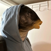 Masque de poisson réaliste en latex, masque de carpe noire pour Halloween, fête d'anniversaire, couvre-tête complet, accessoire de farce, masques de fête amusants