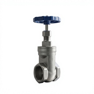 Vanne à opercule cryogénique en acier inoxydable 304, manuelle, à souder, pour le contrôle des fluides à basse température - Product Image 1