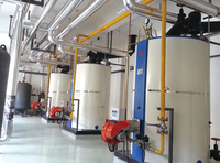 Chaudière à haute efficacité basse pression pour chauffage industriel [HSE]
