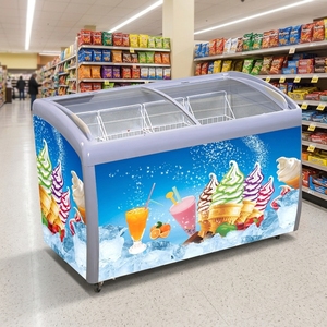 Congelador Horizontal para Tiendas de Conveniencia, Ahorro de Energía, Modelo Ddh-260x, para Hielo - Product Image 1
