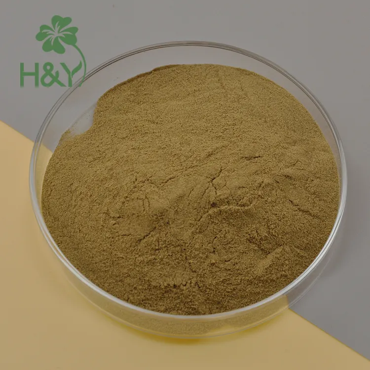 Factory Supply Wholesale Vitex Trifolia Chaste Tree Berry Extract Vitex Extract