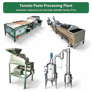 Usine de transformation de purée de tomate industrielle entièrement automatique, ligne de production clé en main pour une usine de fabrication alimentaire à grande échelle - Product Image 1