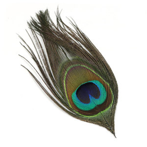 <span class=keywords><strong>Fil</strong></span> de plume de paon vert olive naturel pour la <span class=keywords><strong>pêche</strong></span> à la mouche, appâts et nymphes, accessoires pour mouches streamer - Product Image 2