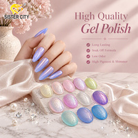 Vernis à ongles gel micro-pailleté 12 couleurs en gros, haute qualité, marque privée, fournisseur d'articles de nail art DIY