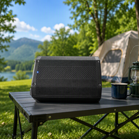 Haut-parleur actif portable de 15 pouces à batterie, 250W, en titane, pour divertissement, bars et fêtes en plein air - Prix usine
