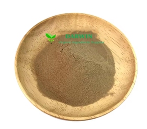 Persediaan Darwin bubuk daun Guayusa bubuk ekstrak alami Guayusa - Product Image 1