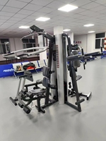 Système de poulies en acier pour salle de sport à usage commercial, équipement d'exercice multifonctionnel avec pile de poids de 75 kg