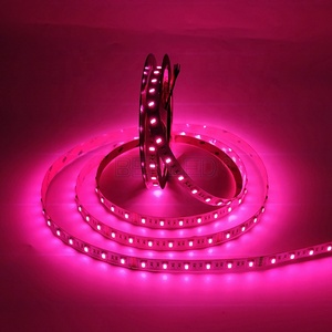 Tira de luces <span class=keywords><strong>Led</strong></span> RGBW, 5 colores en 1, impermeable, Flexible, Rgbww, WRGBWW, novedad de 5050 - Product Image 6