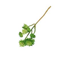 Plantes artificielles en PVC en vrac, fleurs décoratives DIY, herbe créative presque naturelle, décoration pour la maison et le jardin