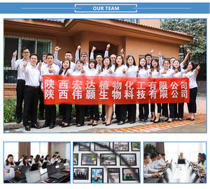 ผงมะระขี้นกแห้ง,ผงมะระขี้นก - Product Image 5