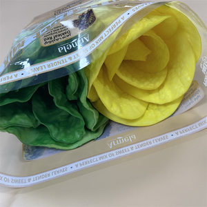 Sac composite anti-buée CPP OPP pour l'emballage de laitue, épinards et choy sumai, haute résistance - Product Image 4