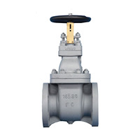 Vanne à opercule en acier moulé JIS 5K 10K 20K DN250 WCB à brides DN40-DN400 pour eau et huile
