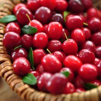 Jianfeng Cranberry Sap Poeder 10% Proanthocyanidinen Fruitpoeder Voedingskwaliteit Vaccinum Macrocarpon Ait