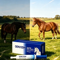 Complément nutritionnel aromatisé à la pomme pour chevaux - Gel vitaminique et minéral - Pommade sûre - Marque OEM - Durée de conservation de 2 ans