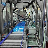 Robot Pengepak Kemasan Otomatis untuk Usaha Kecil, Kemasan Keripik dalam Industri Makanan, Minuman, dan Air, Robot Pengepak Kemasan Delta