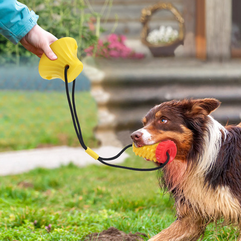 China Factory Sales Dog Chew Toys Suction Cup Ball with Anti-winding Cord Buckle